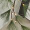 Lighted Christmas Pine Garland with Timer 6 FT (Dark Green)
